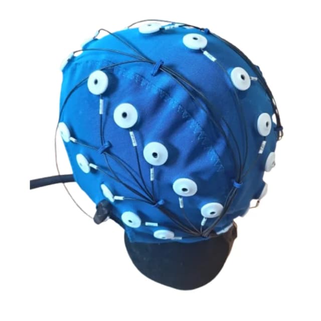 32 Channel Wet EEG Cap — electrode detail