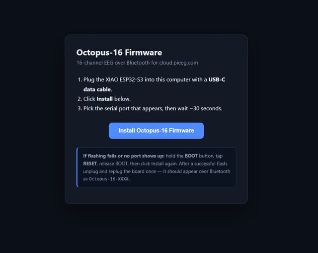 Octopus 16 — detail view